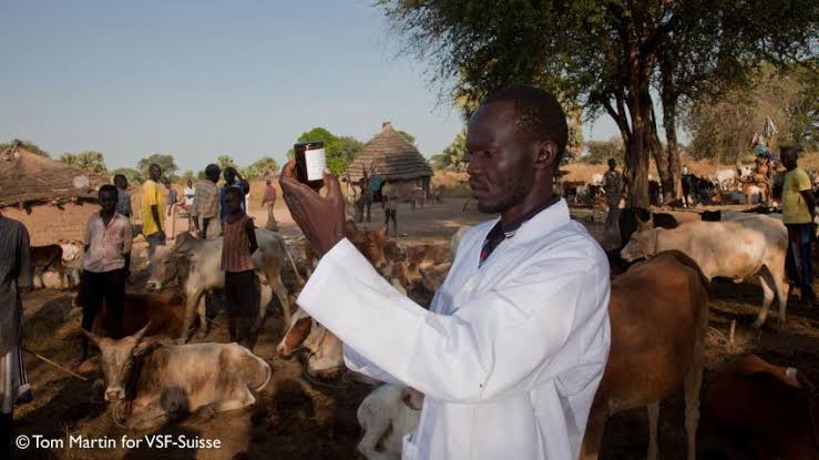 ”Preventing Cattle Diseases in Nigeria: The Importance of Vaccination, Biosecurity, and Veterinary Care”