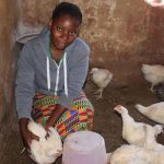 ”Is Glucose Good for Chickens? Benefits, Dosage & How to Use It for Healthy Poultry”