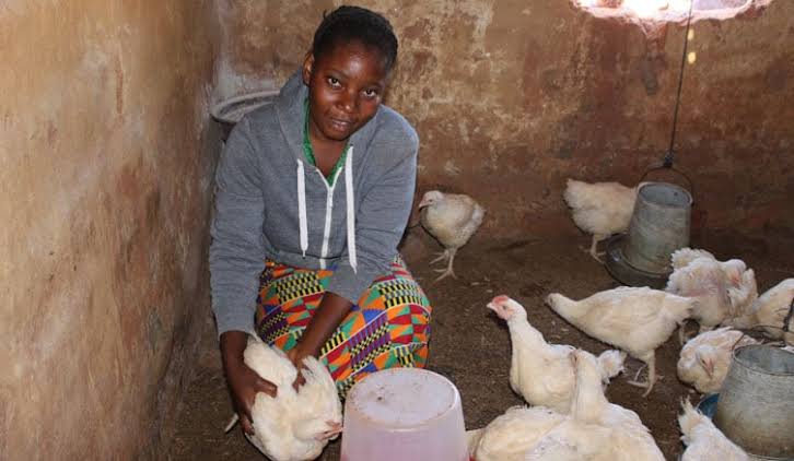 ”Is Glucose Good for Chickens? Benefits, Dosage & How to Use It for Healthy Poultry”