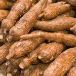 ”Cassava Farming Cost and Profit Estimate in Nigeria (2025 Guide for Young Farmers)”