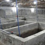 ”How to Prepare a Fish Pond: A Complete Guide for Farmers”