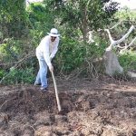 “Yam Farming in Nigeria: Step-by-Step Guide on How to Start and Succeed as a Young Farmer”
