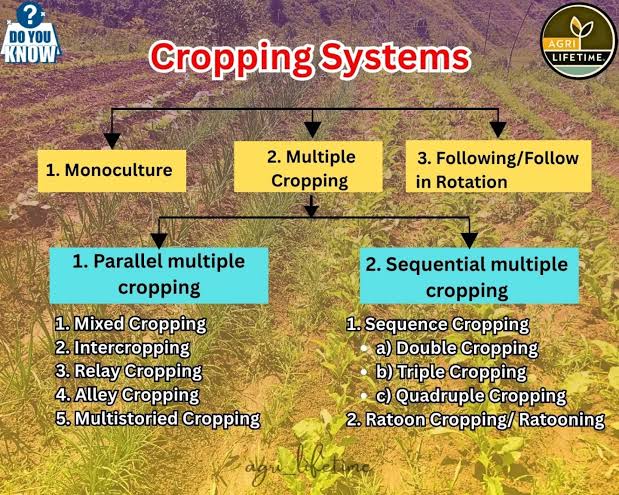 Types of cropping systems in agriculture well explained - AGRIANIMAL