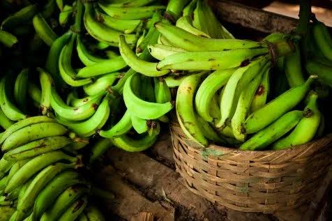 Types and Varieties of Plantain: A Complete Guide for New Plantain Farmers