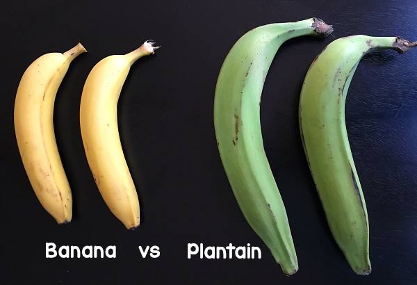 Plantain vs Banana: Key Differences Every Plantain Farmer Should Know