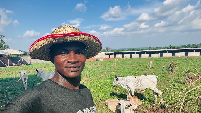 Mixed Cattle Farming: A Complete Guide for Beginners and Young Farmers