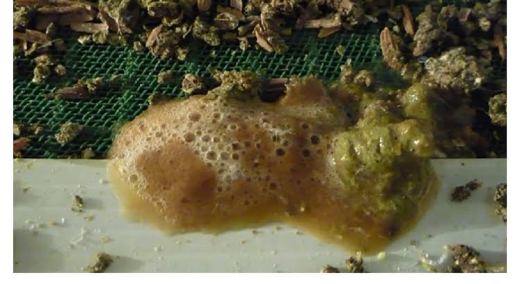 Chicken Has Watery Droppings? First Things Young Farmers Should Do